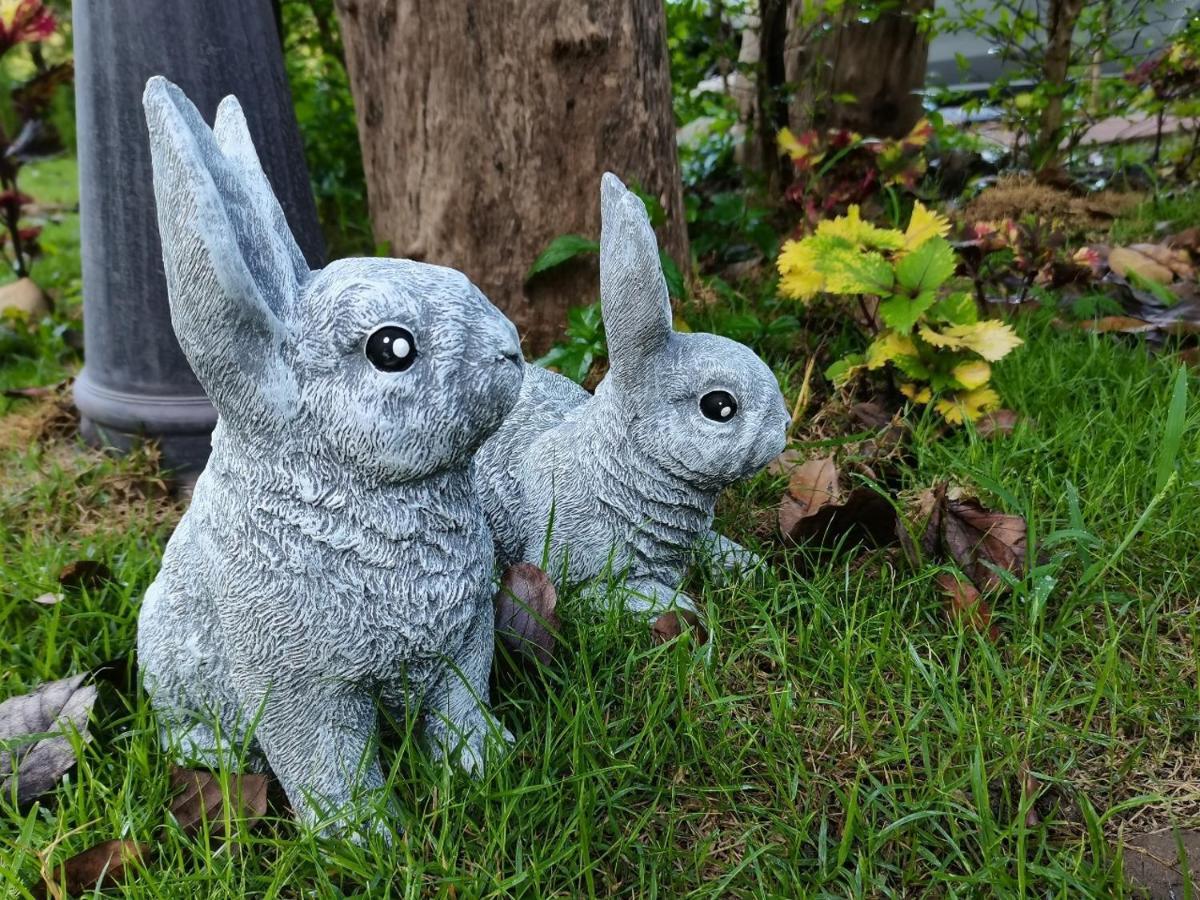 The Blue Rim Vacation Khao Yai ปากช่อง